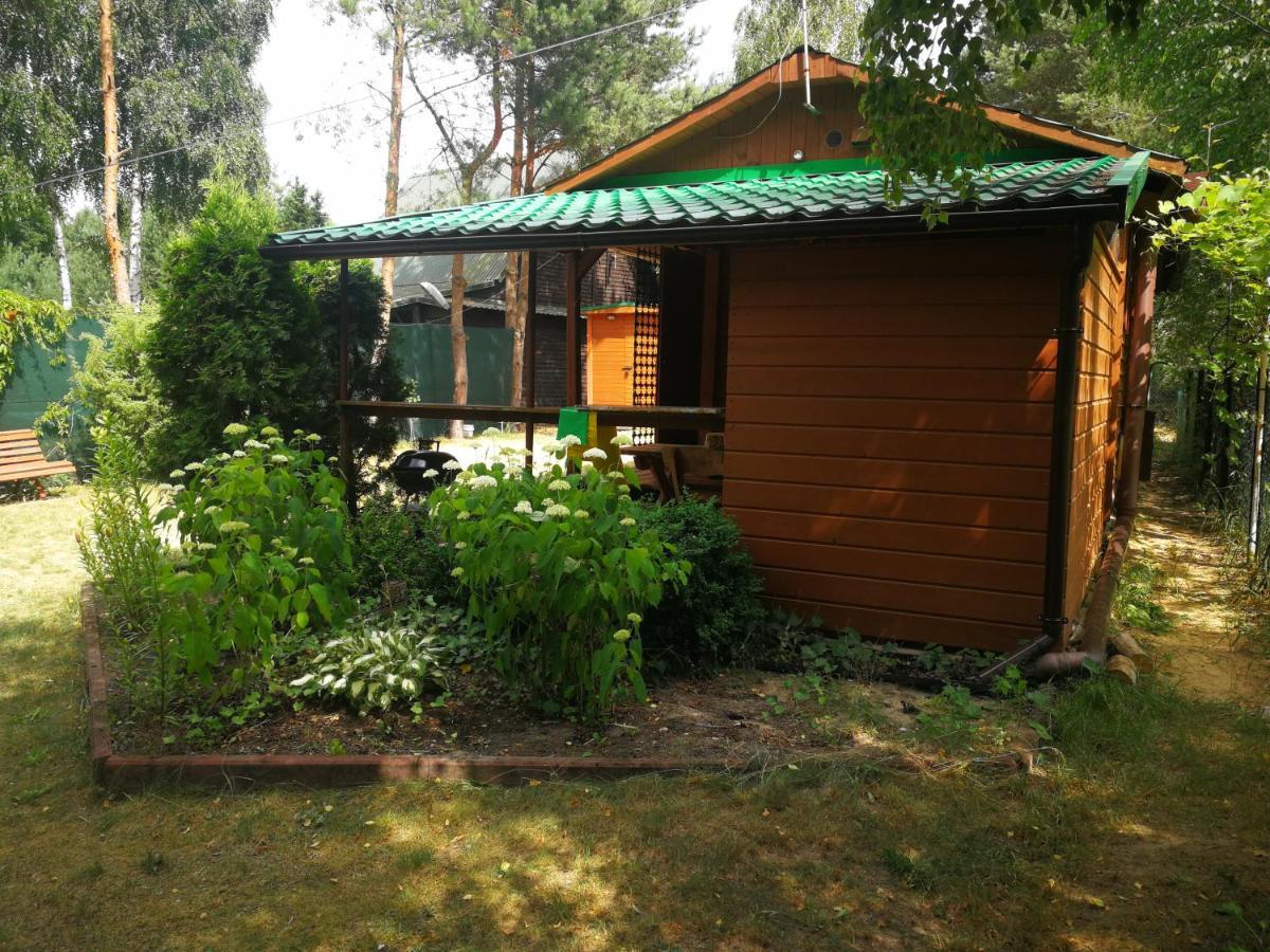 Domki Domek Na Jeziorem Wilczynskim Budzislawskim , Las, Osobno Ogrodzony 2-6 Osob- Klimatyzacja, Ogrzewanie, 62-550 Zygmuntowo Gm Wilczyn Dış mekan fotoğraf
