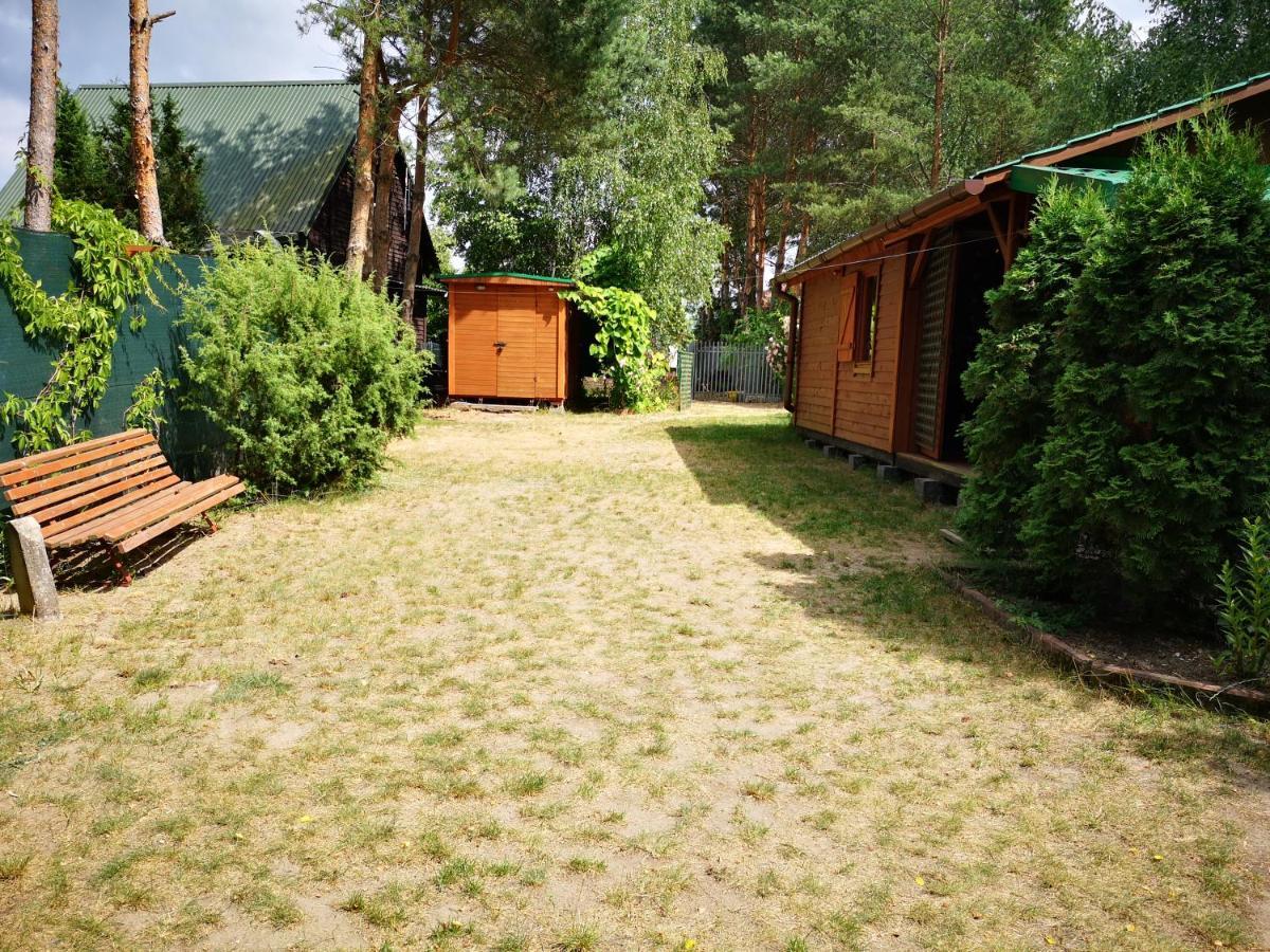 Domki Domek Na Jeziorem Wilczynskim Budzislawskim , Las, Osobno Ogrodzony 2-6 Osob- Klimatyzacja, Ogrzewanie, 62-550 Zygmuntowo Gm Wilczyn Dış mekan fotoğraf