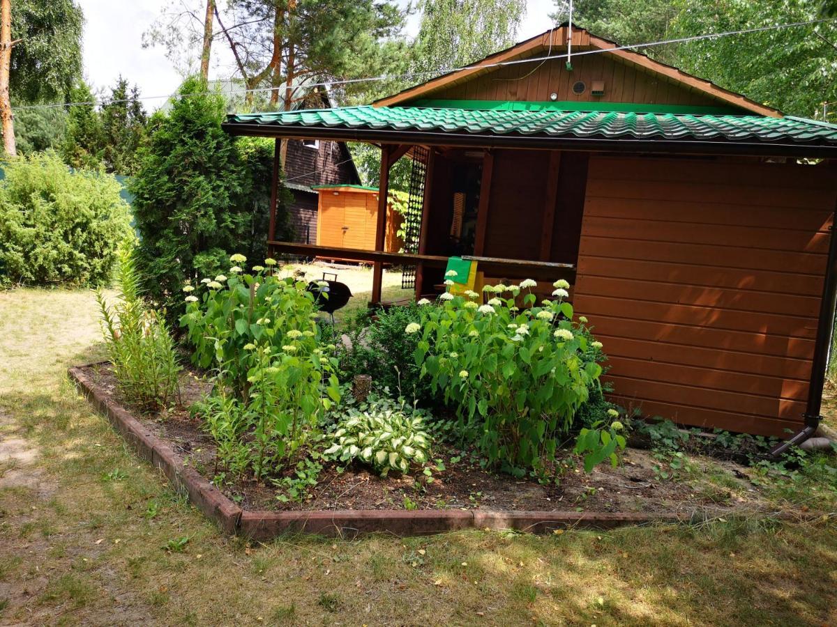 Domki Domek Na Jeziorem Wilczynskim Budzislawskim , Las, Osobno Ogrodzony 2-6 Osob- Klimatyzacja, Ogrzewanie, 62-550 Zygmuntowo Gm Wilczyn Dış mekan fotoğraf